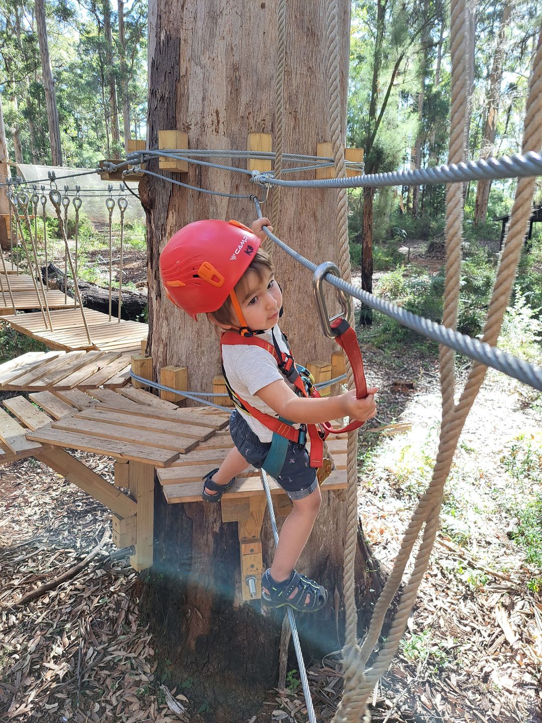 Pemberton Aerial Adventure
