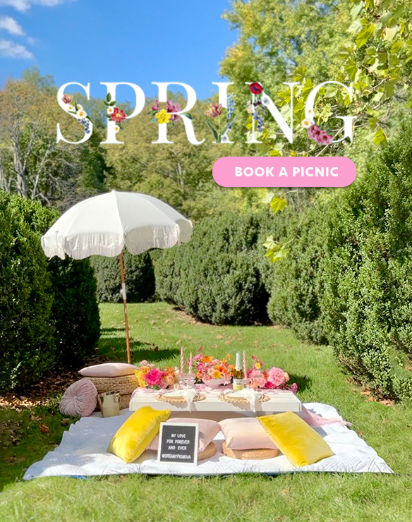 DreamyPicnic VA Celebrate your special moments luxury picnic style