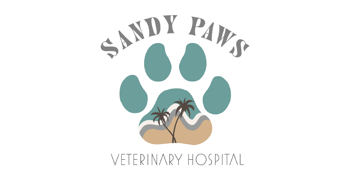 HighQuality Vet Hospital in Estero, FL Sandy Paws Veterinary Hospital