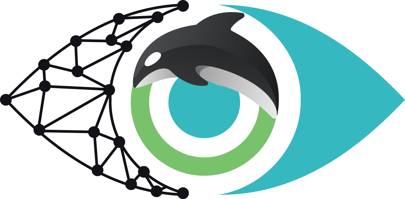 Orca AI
