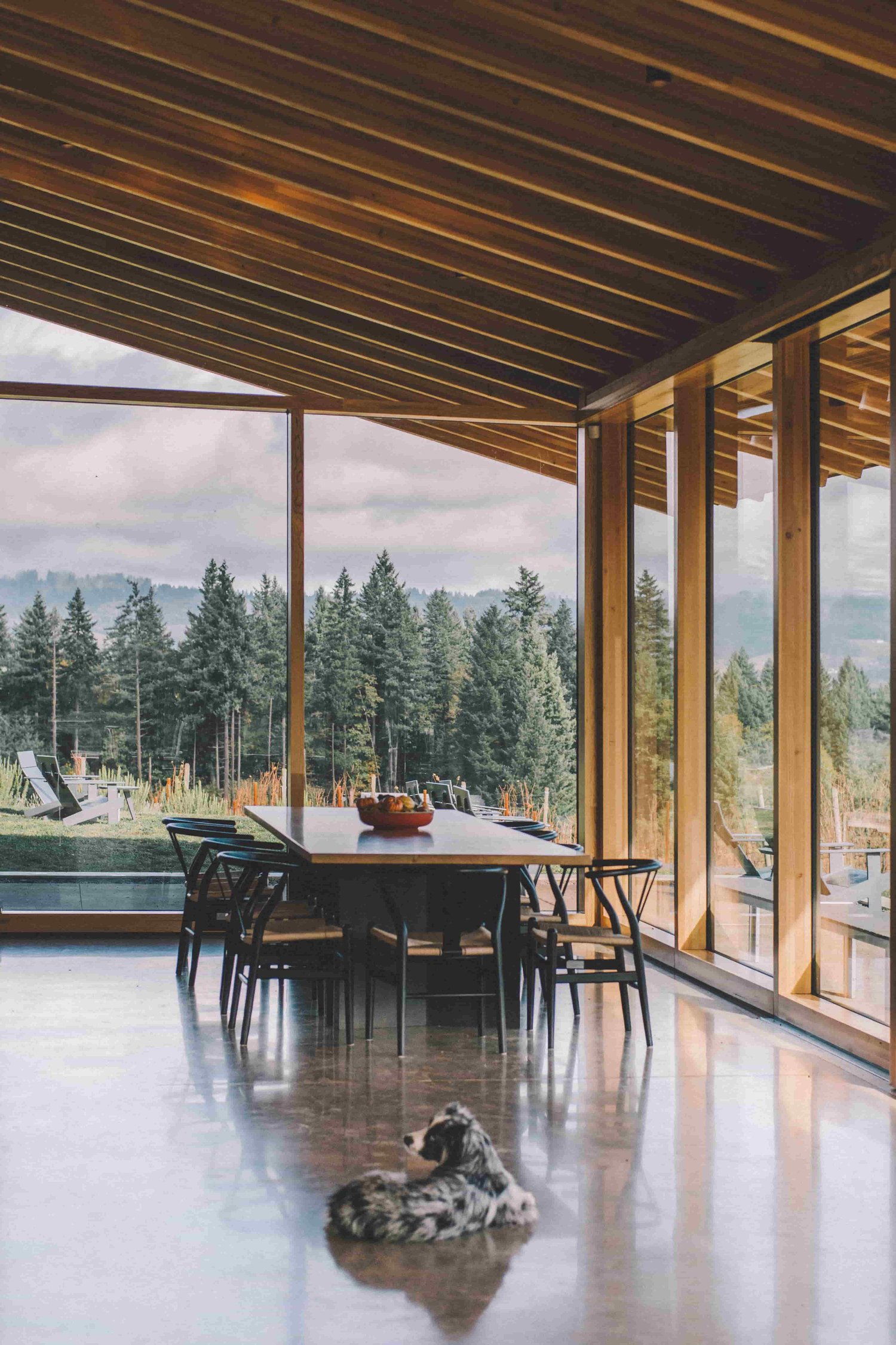View of Designing Pet-Friendly Spaces: Stylish and Practical Solutions for ...