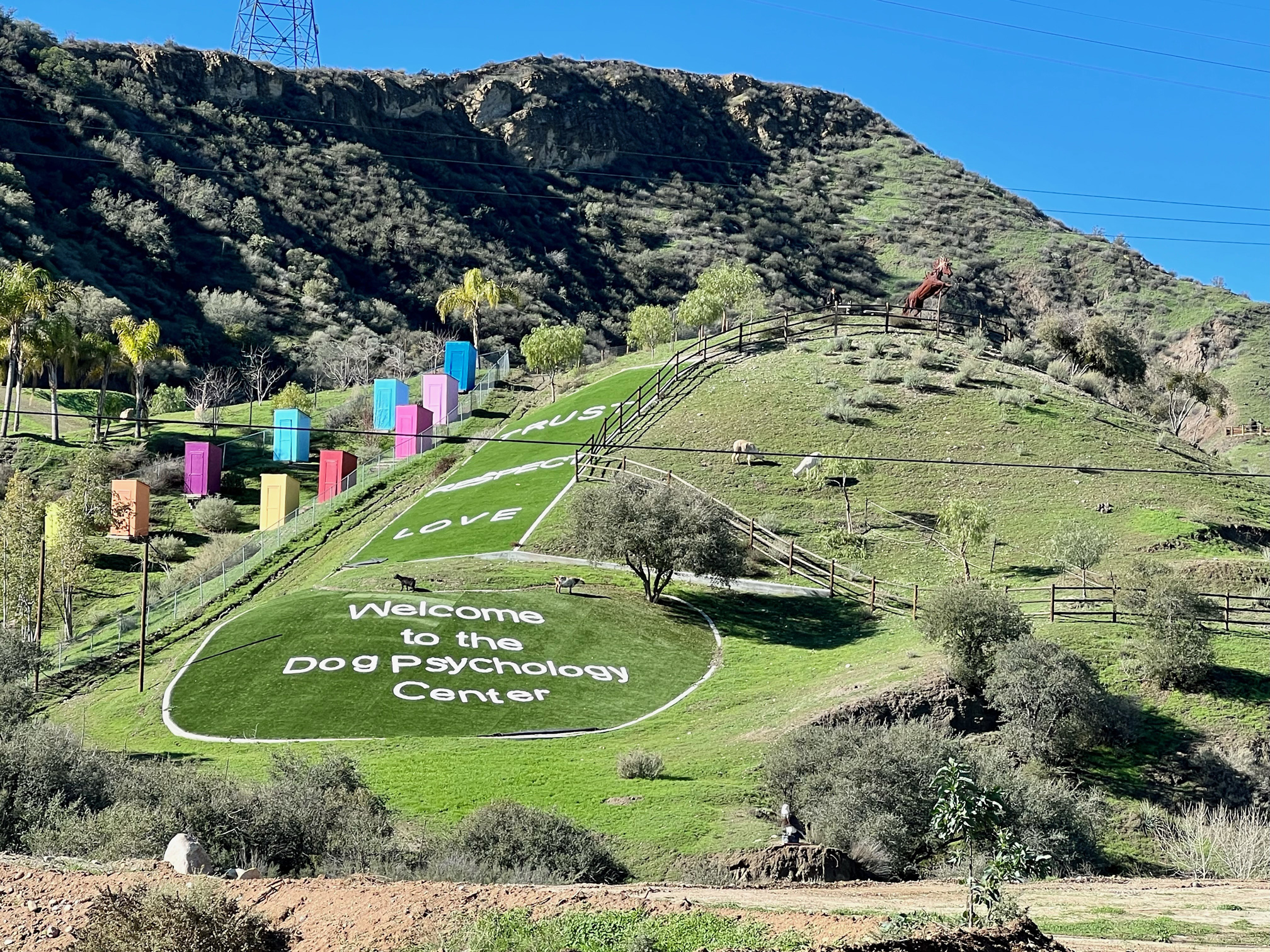 Training Cesar's Way Cesar Millan