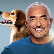 Cesar Millan with arms open watching a sunset