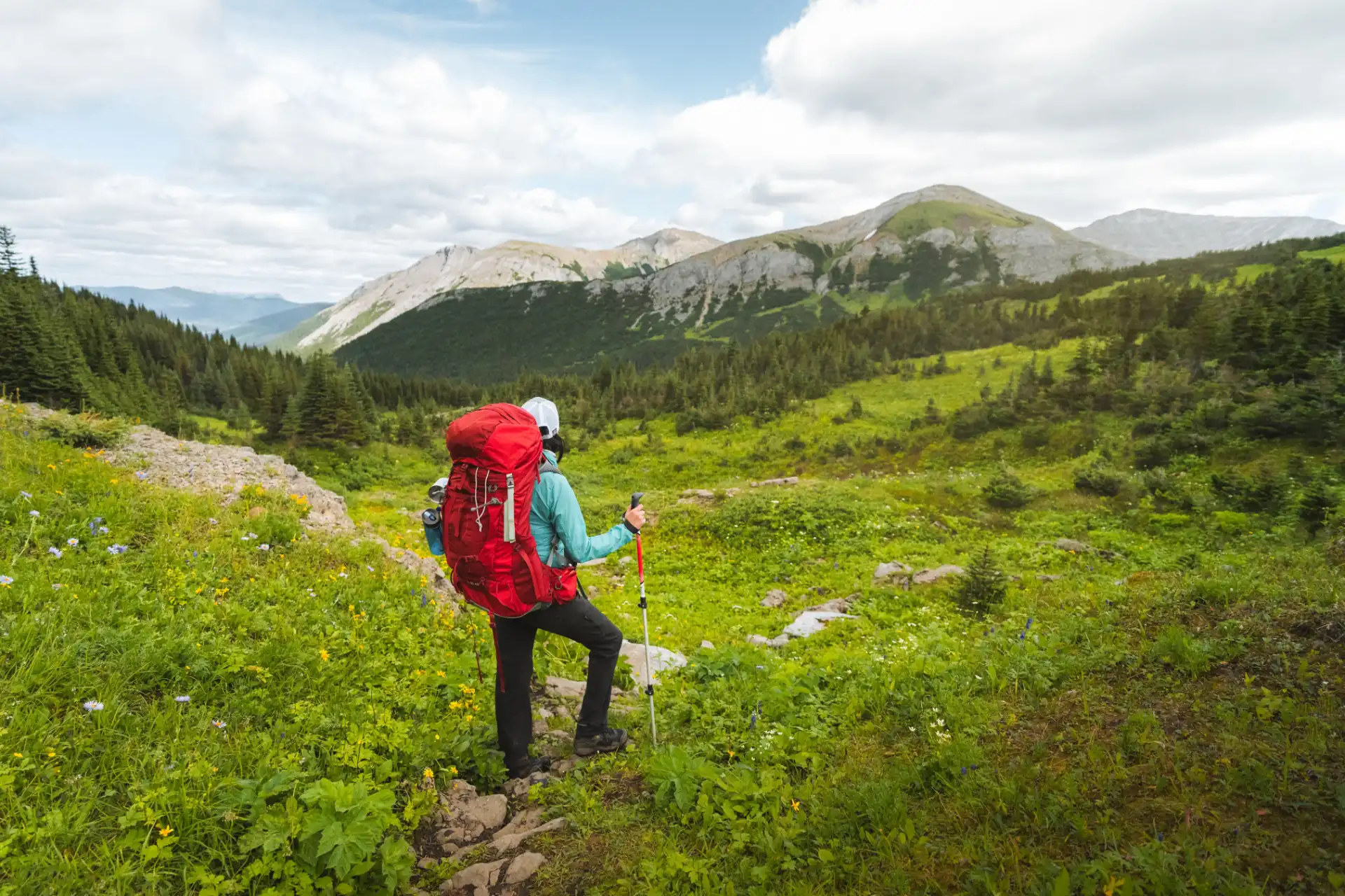 Windfall Lake Hiking Route - Wolverine Nordic & Mountain Society