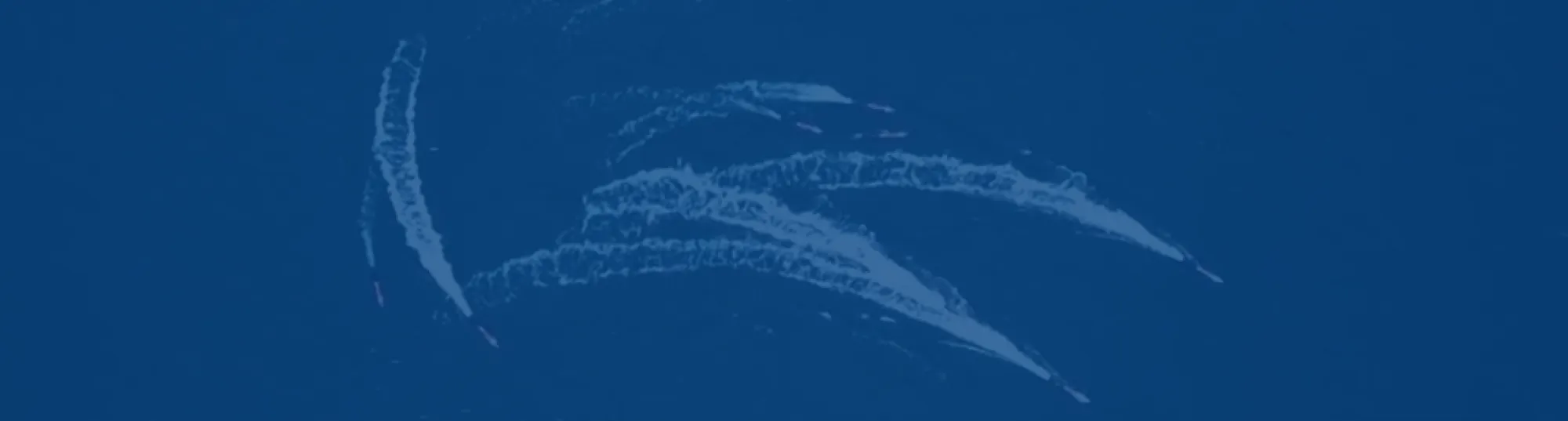 Blue Economy & Ocean Technology Incubator in SE New England | Ocean ...