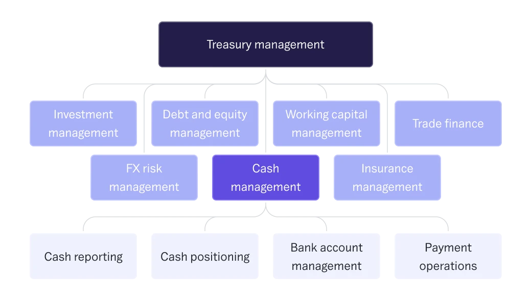 Treasury management versus cash management what's the difference?