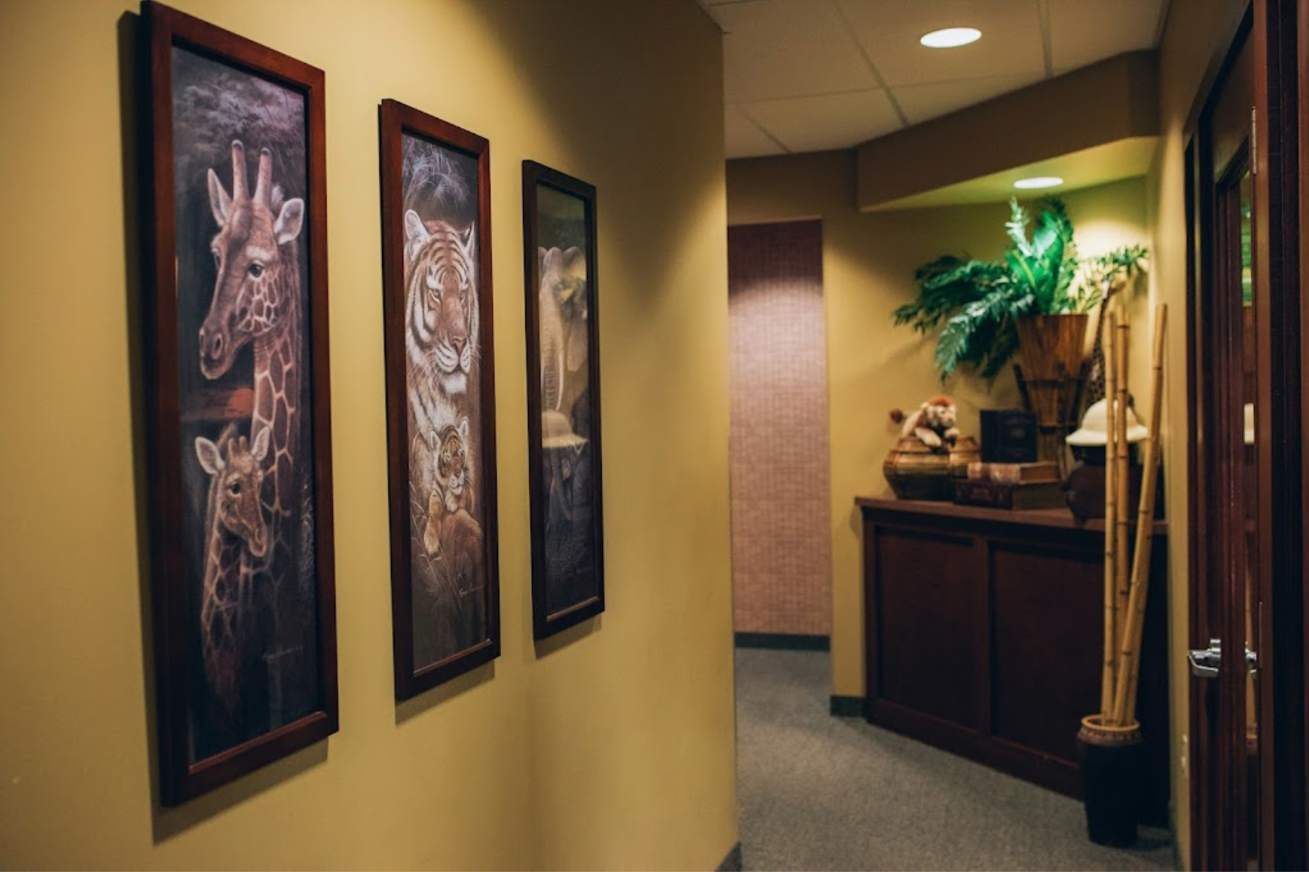 Grand Rapids, MI Pediatric Dentist & Orthodontist Mittens Kids Dentistry