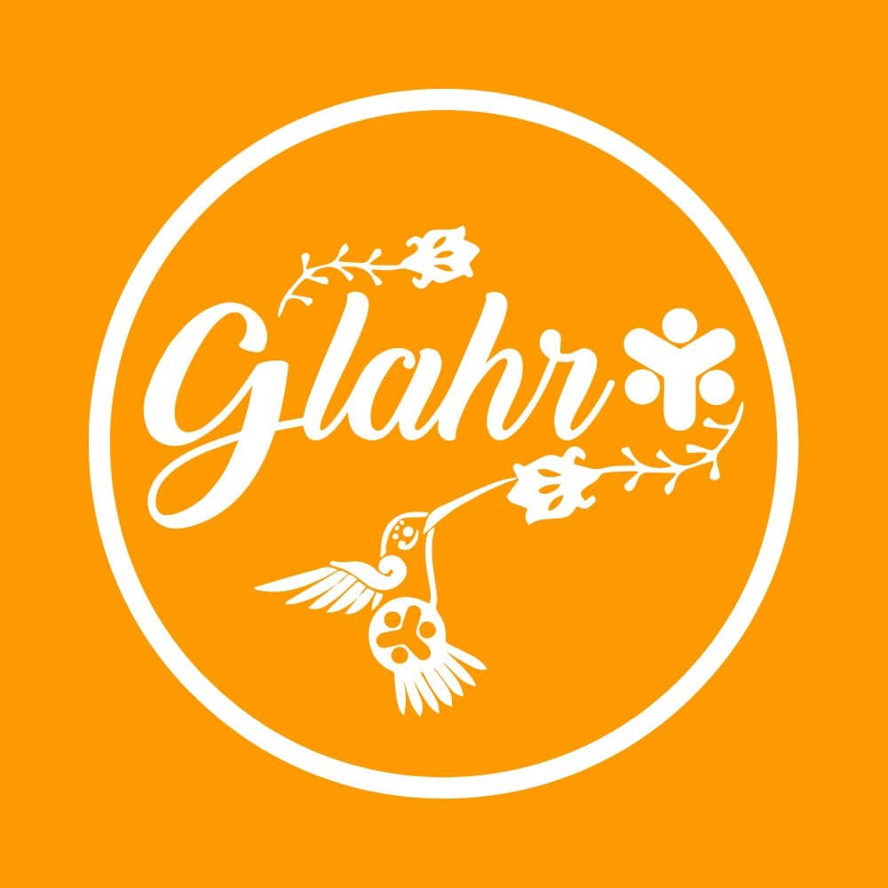 Georgia Latino Alliance for Human Rights network Logo