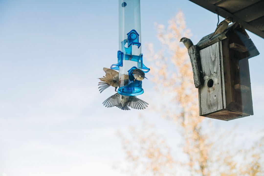 Clark Fork Dental Comprehensive Dentistry in Missoula, MT