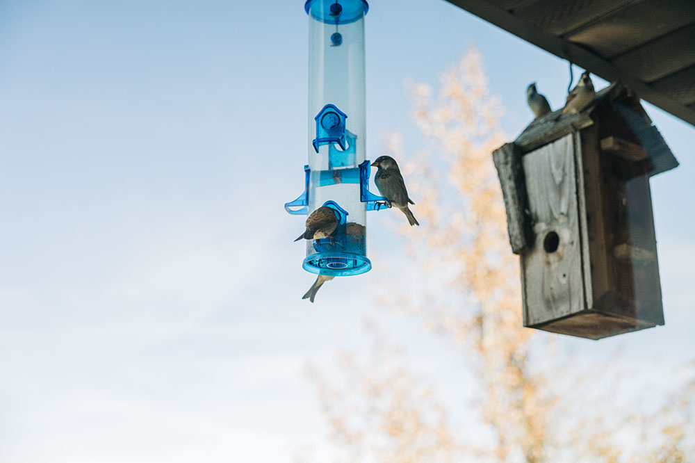 Clark Fork Dental Comprehensive Dentistry in Missoula, MT