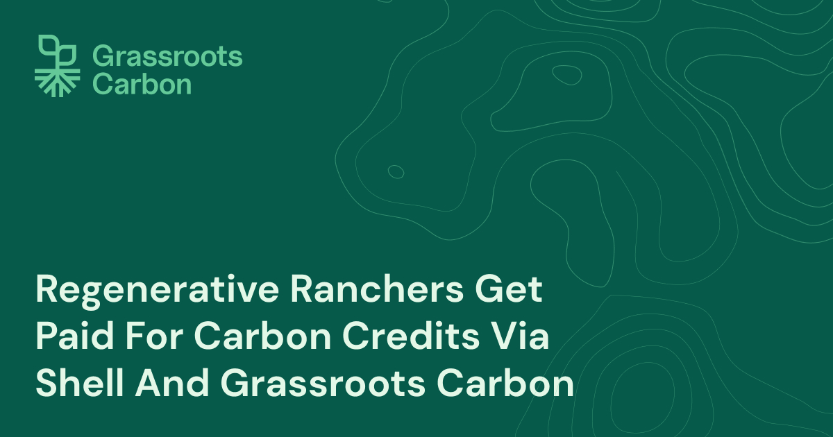 Regenerative Ranchers Get Paid For Carbon Credits Via Shell And