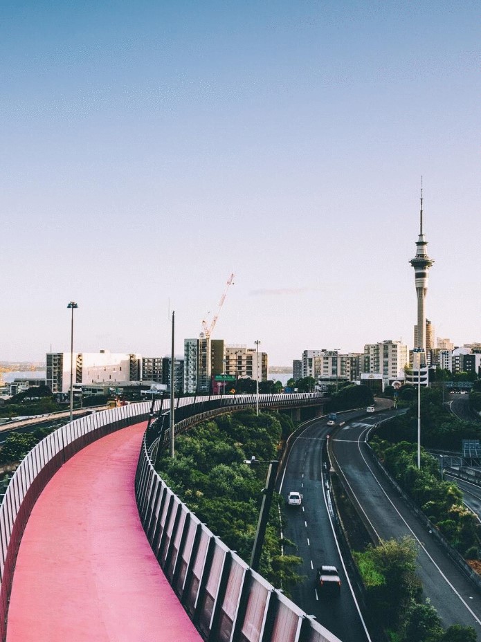 Short Term Rentals & Auckland