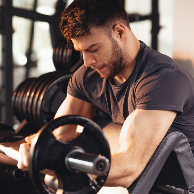 The Ultimate Guide to Biceps Training: Anatomy, Functions, and Best ...
