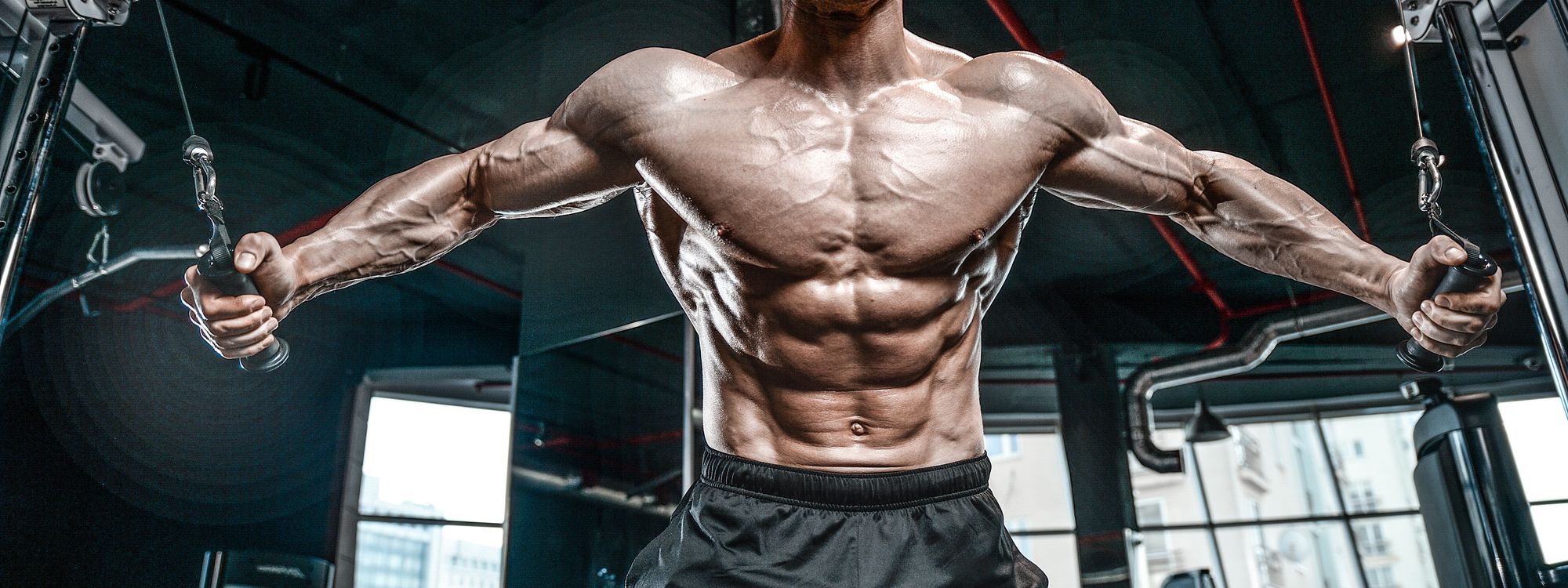 Building The Perfect Pectoral Muscles How To Train Your Chest