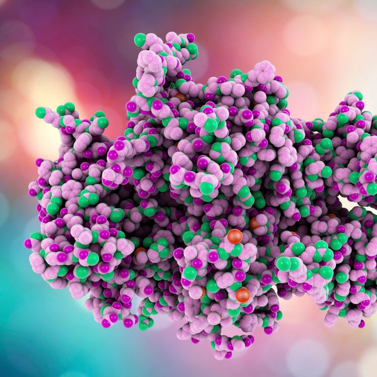 Everything About Proteins: Structure, Classification, and Functions