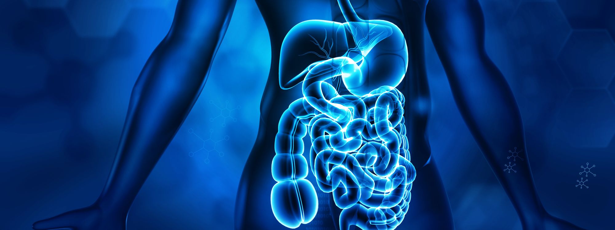 The Science of Digestion