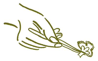 Afbeelding zonder ALT