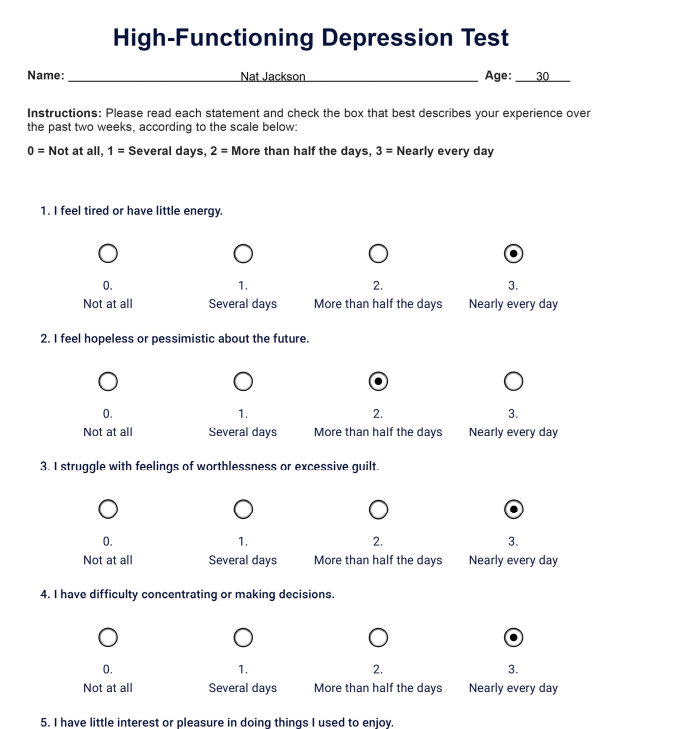 High-functioning Depression Test example (sample)