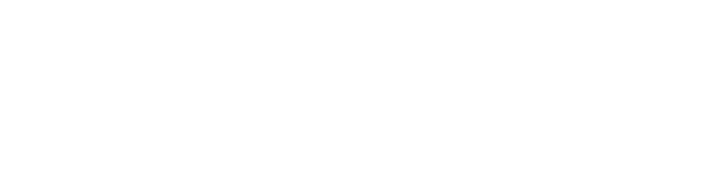 charlotte hornets logo