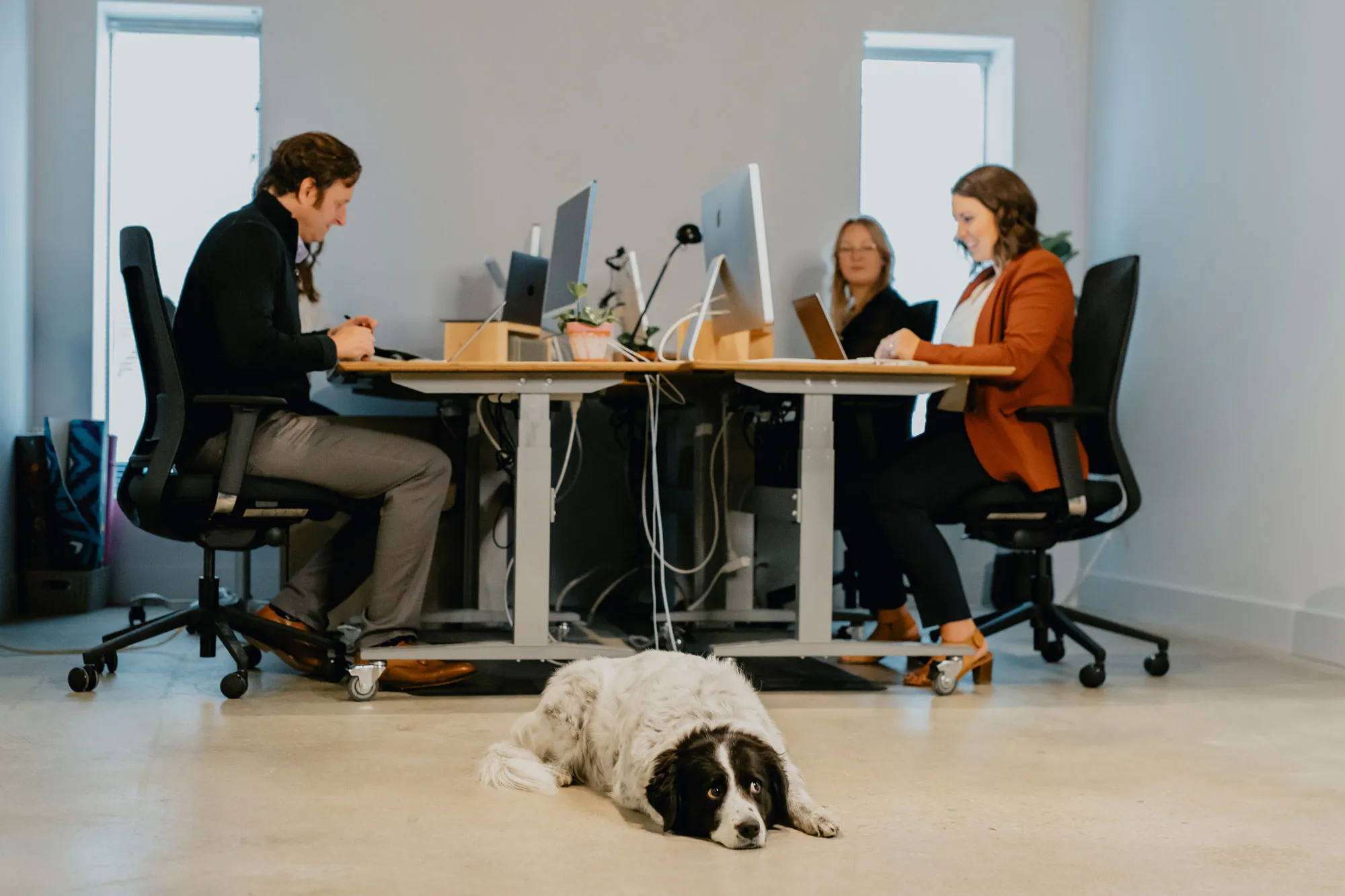 Contact Us | sagecomm Marketing & Communications in London, Ontario