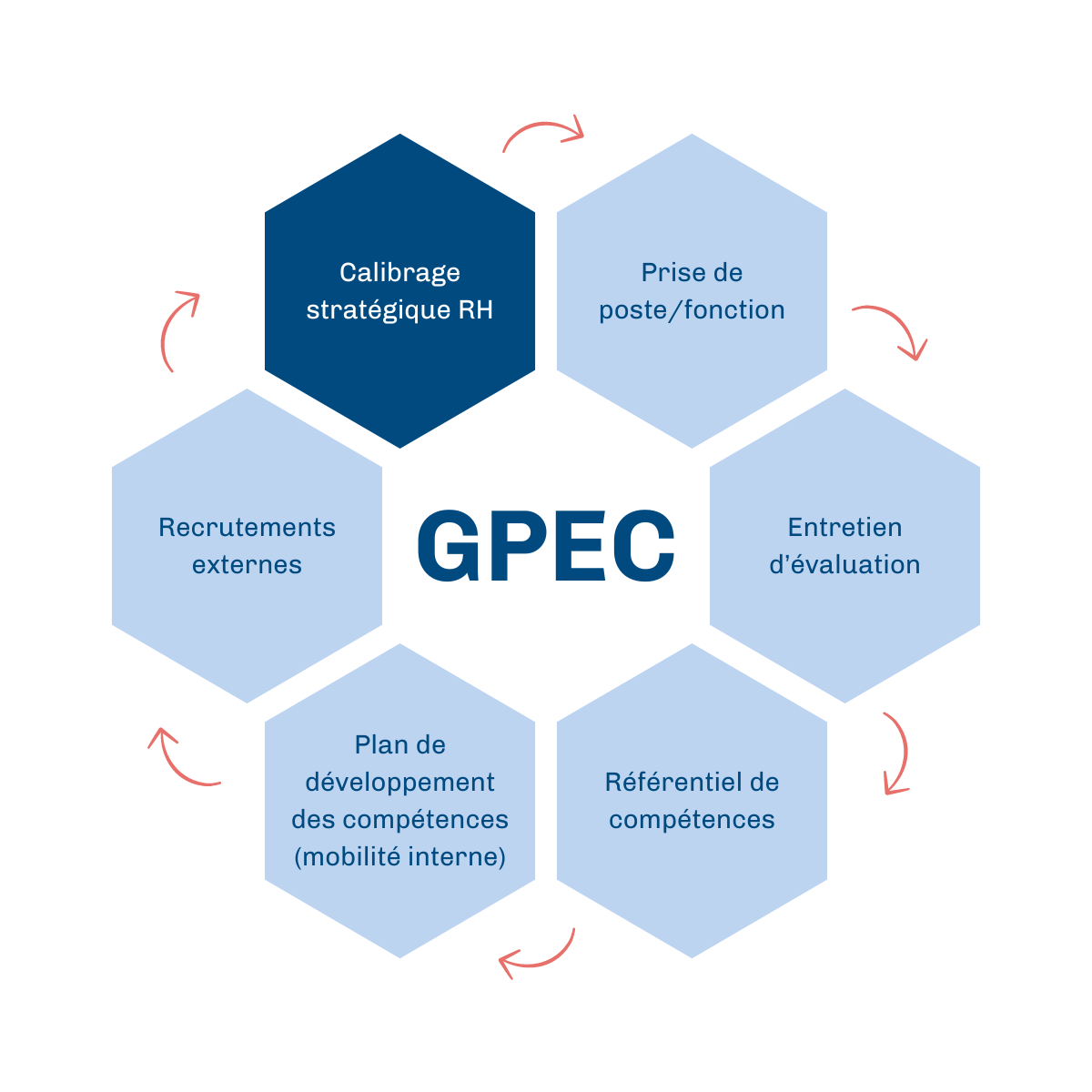 Schéma De La Gpec _ Pyramide Des Ages Gpec – OVNI