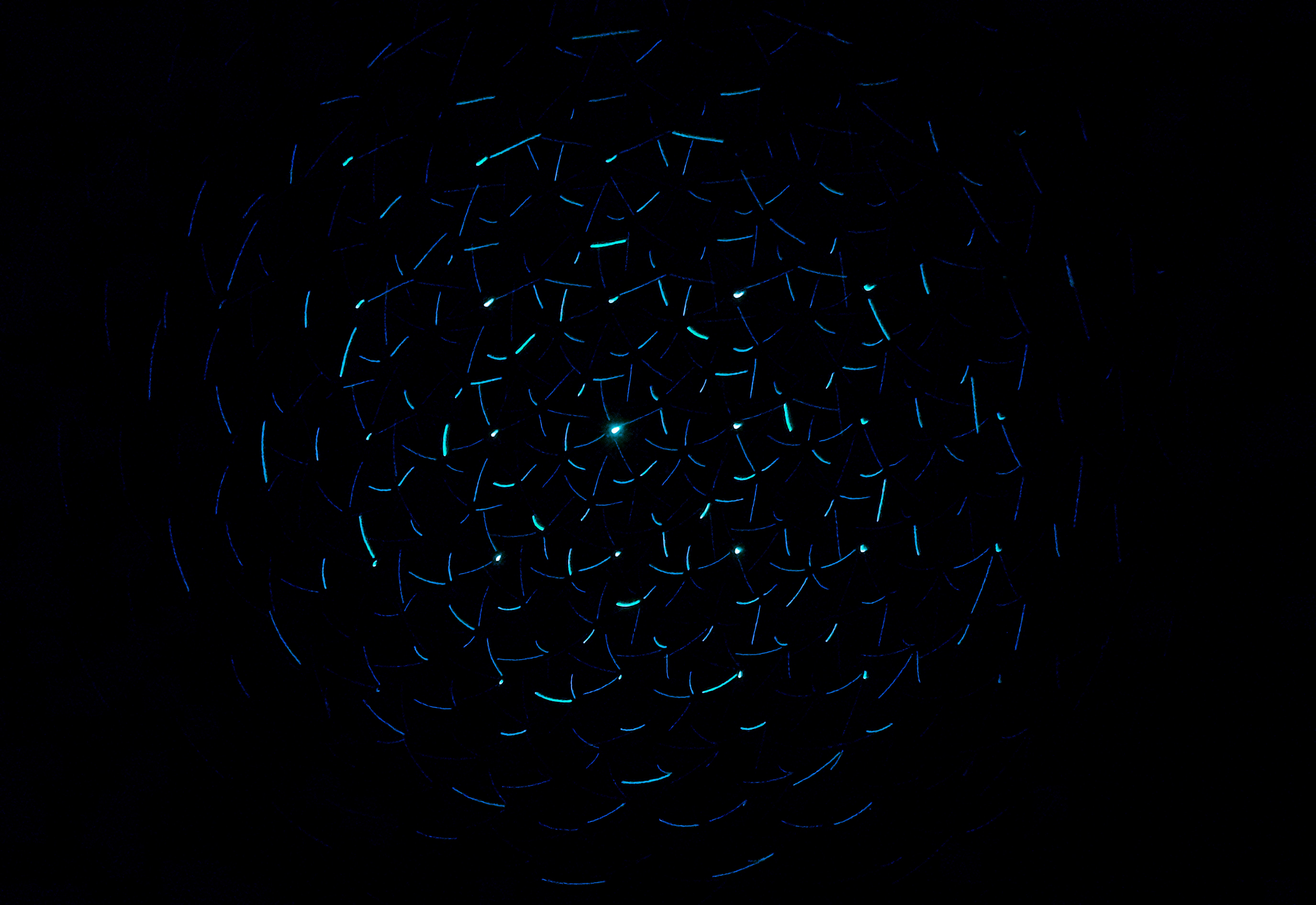 CSRB Log4j Report - The Response is as Dangerous as the Vulnerability