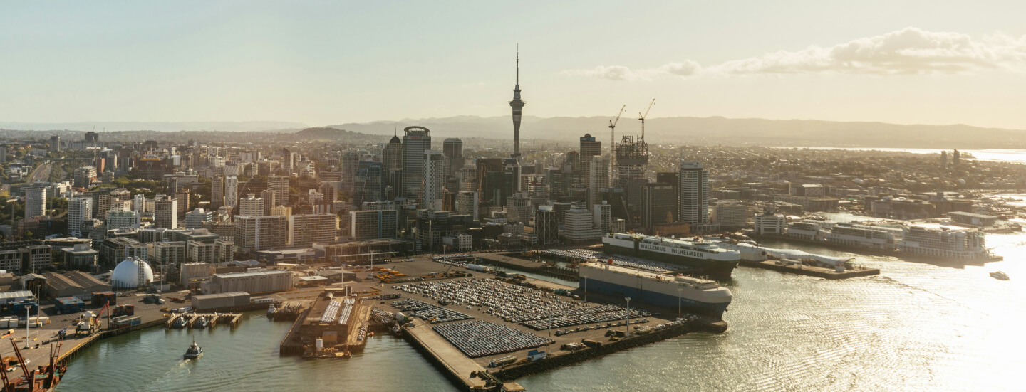 Drug Detection Services North Island NZ Detector Dogs