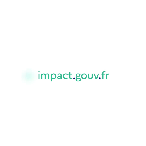 logo Impact Gouv