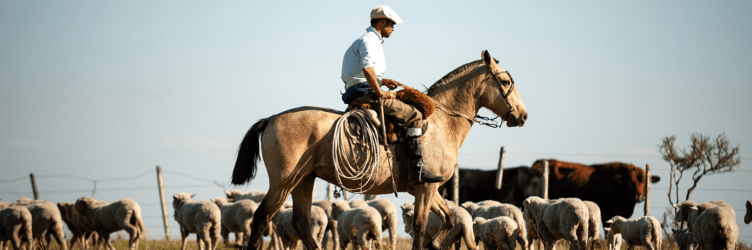 Uruguay an agriculturefocused economy The Land Group