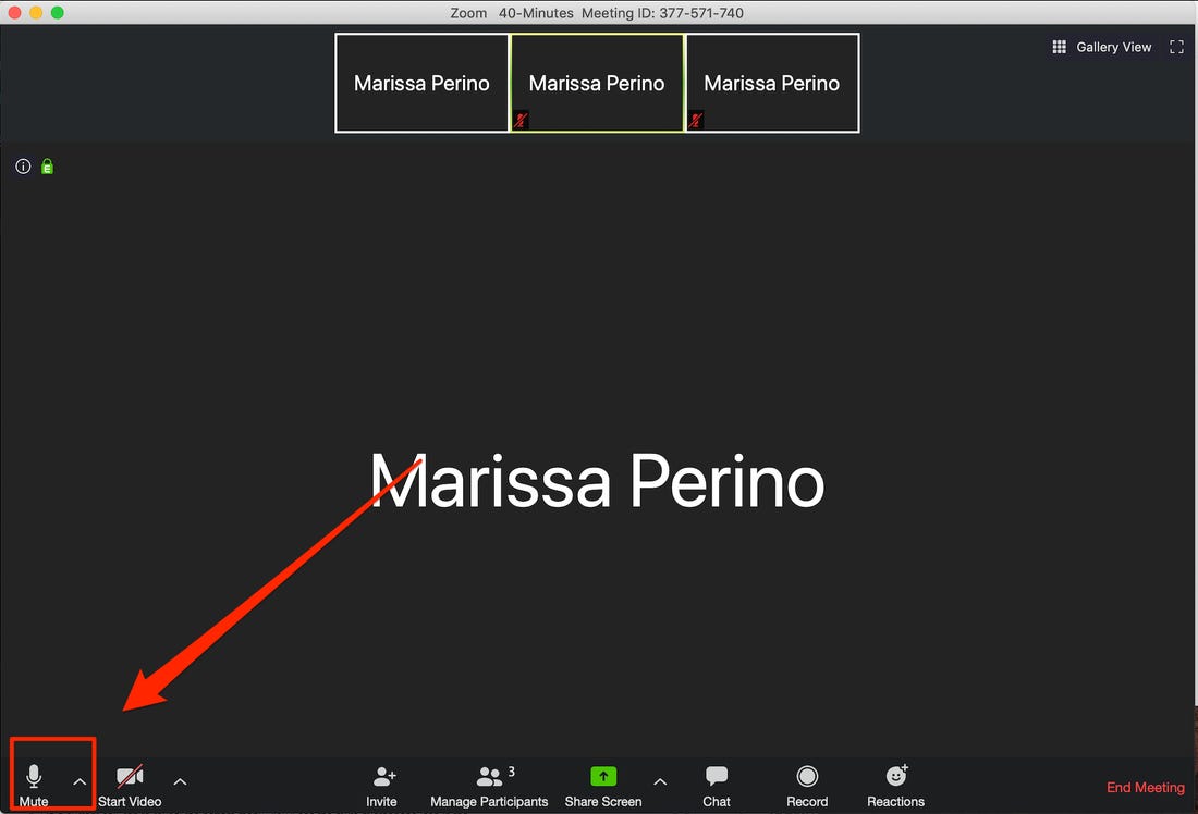 Mute Zoom