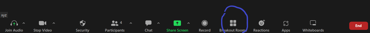 Start Zoom breakout room