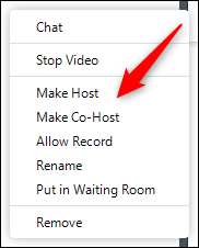 How to make someone a co host in Zoom