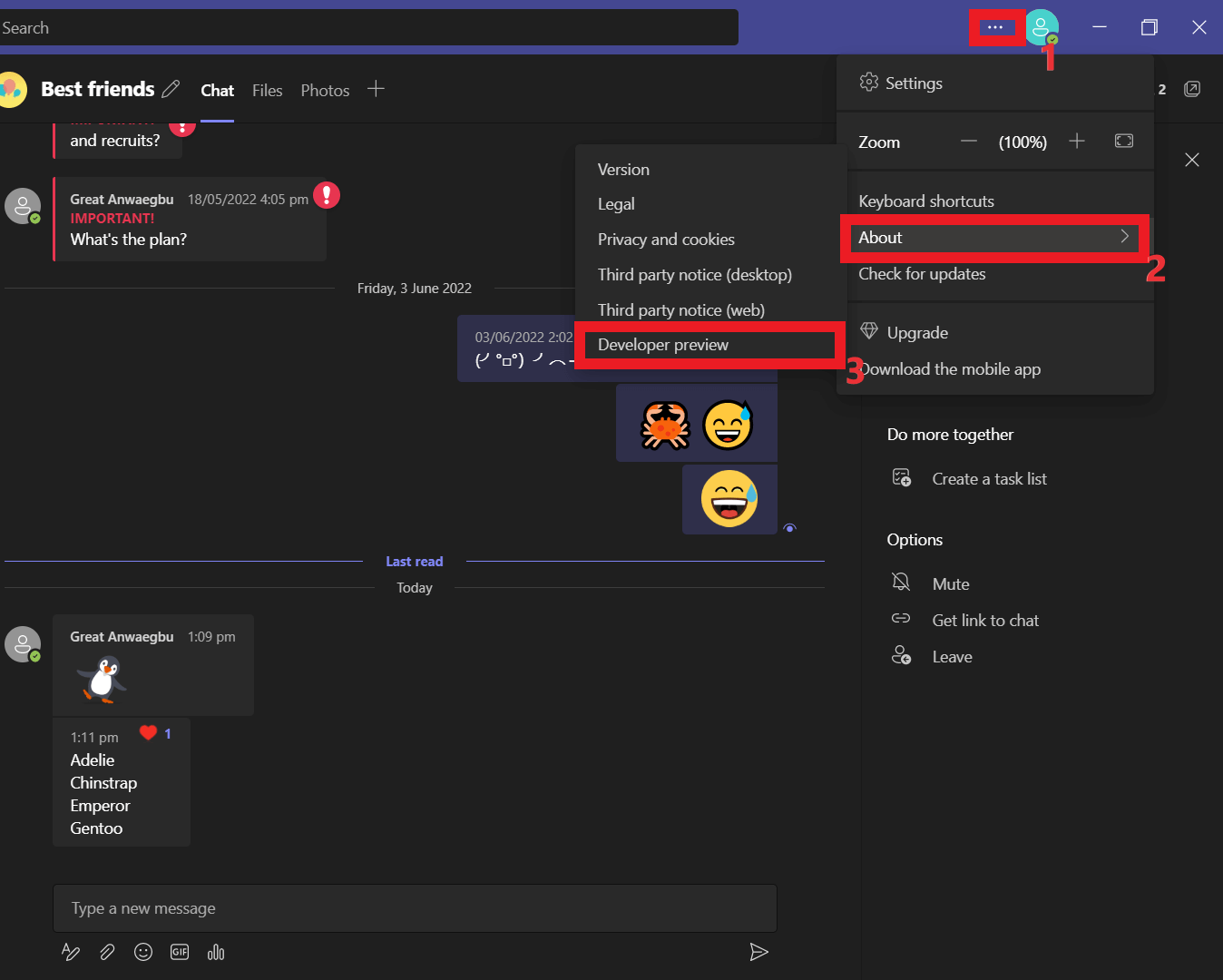 demonstration of developer preview