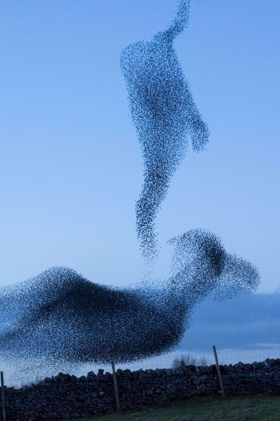 Afterwords -- for his glory