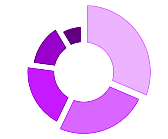 pieChart slicesOuterRadius2