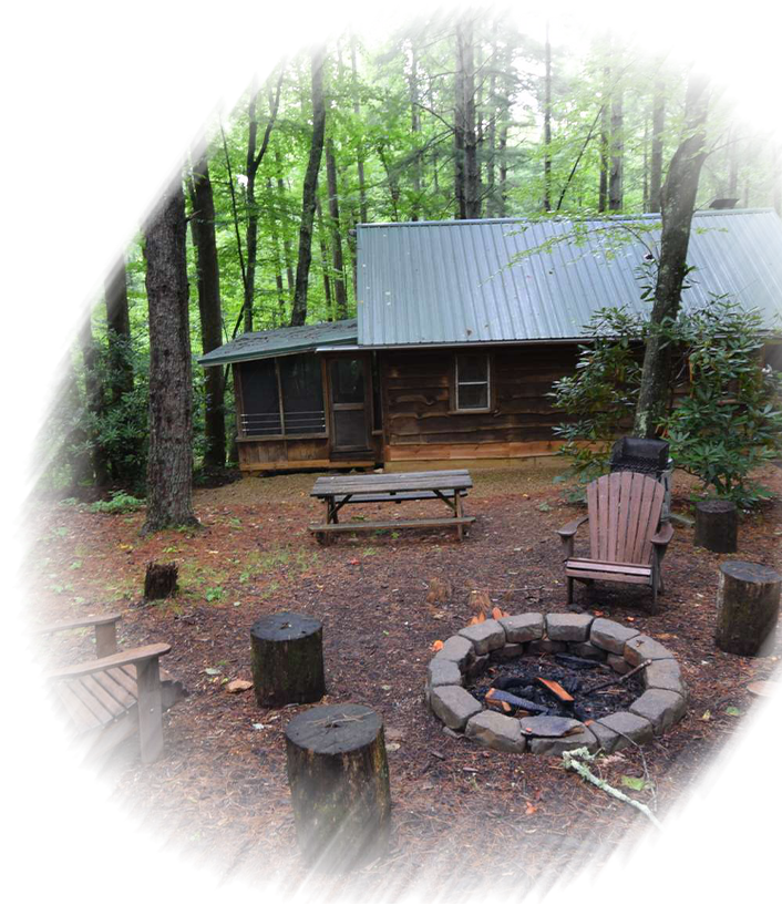 Spring Cabin Rentals in Saluda Blossoms and Renewal