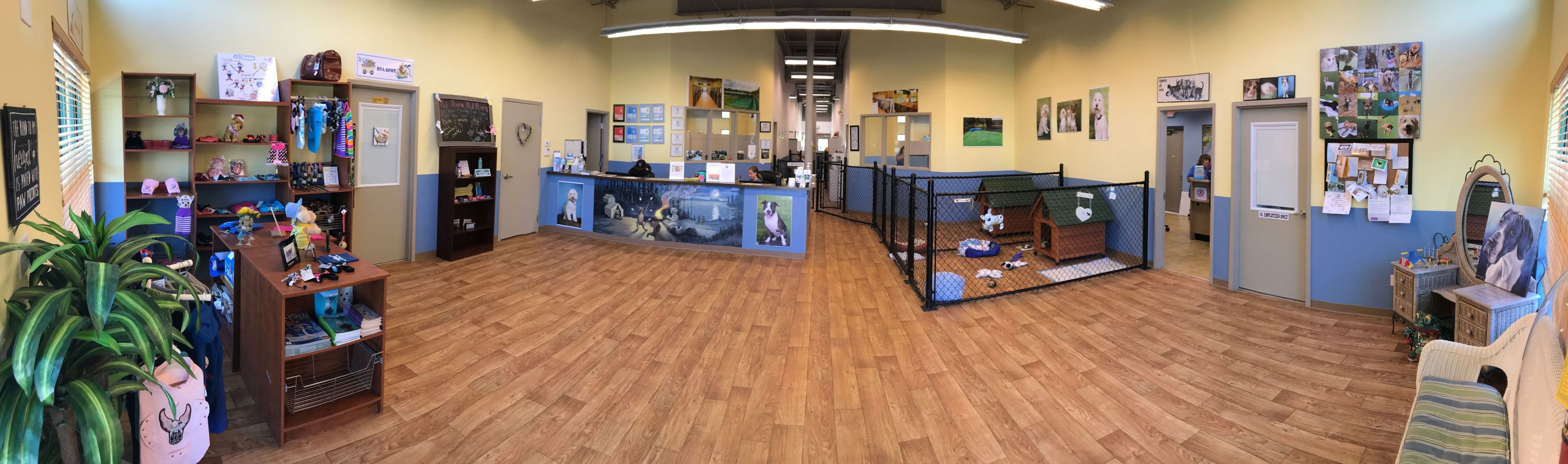 Pet Boarding Bonita Springs FL Bonita Boarding Kennel & Pet Camp