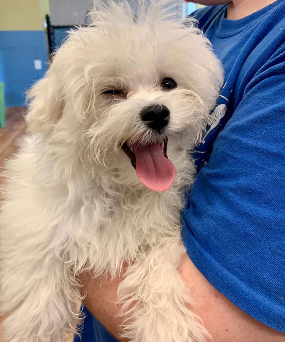 Inside Look Photo Gallery Bonita Boarding Kennel and Pet Camp