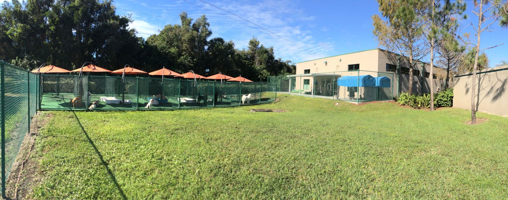 Back Reserve Your Pet's Stay Bonita Boarding Kennel and Pet Camp