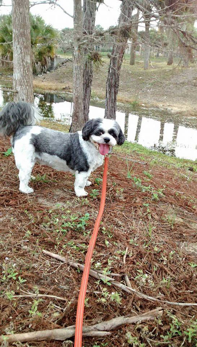 Inside Look Photo Gallery Bonita Boarding Kennel and Pet Camp