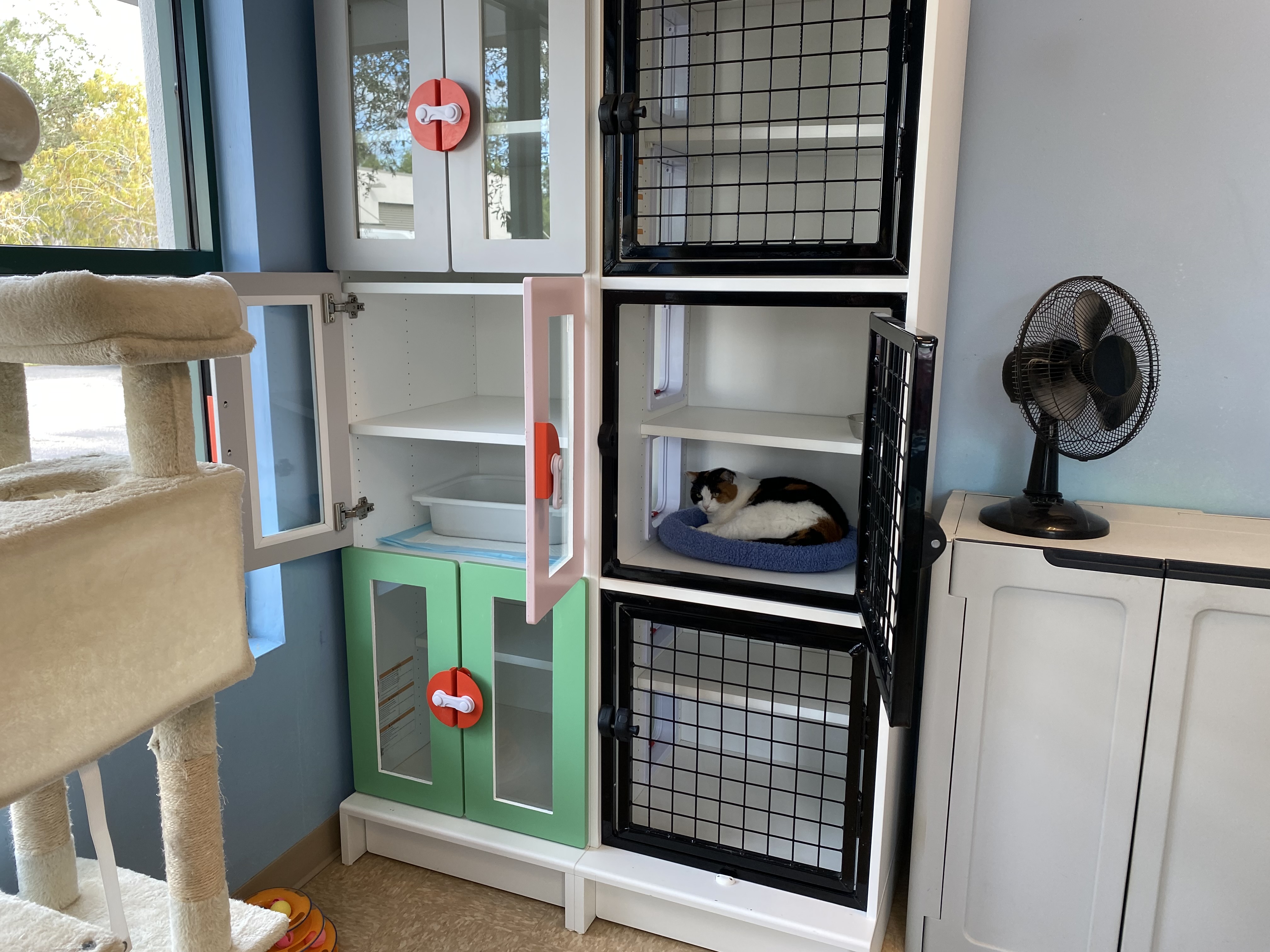 Pet Boarding Bonita Springs FL Bonita Boarding Kennel & Pet Camp