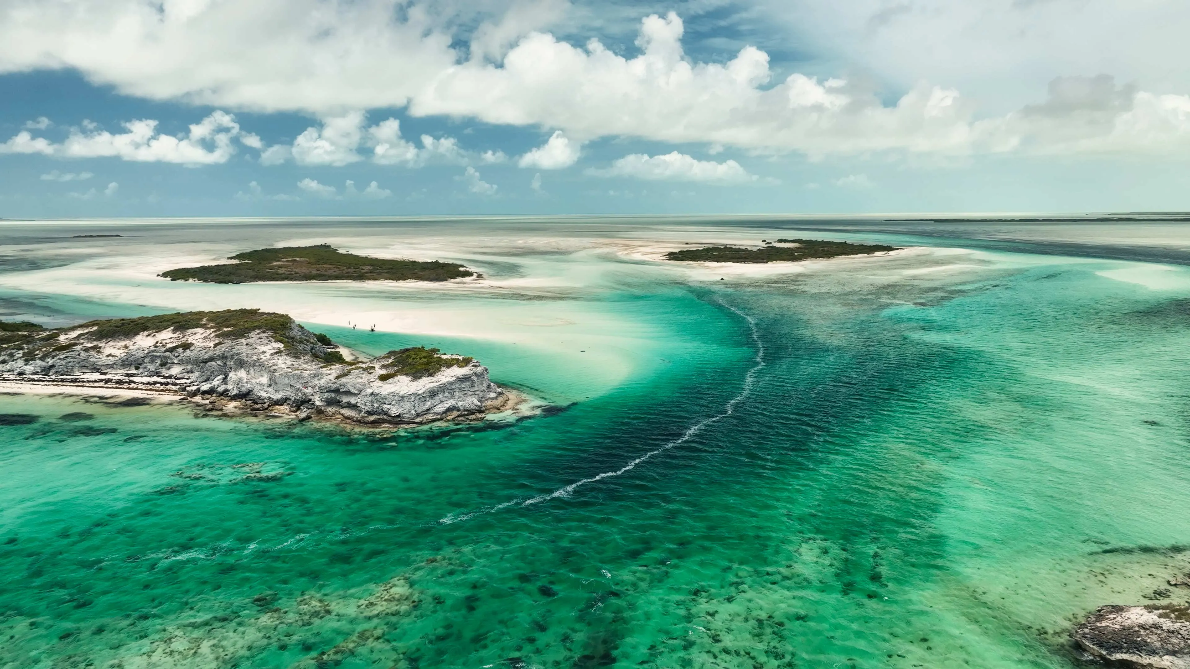 Contact Form Thank You