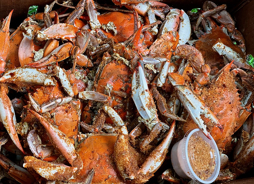Top 12 U.S states to go Crab Fishing! License for your state??