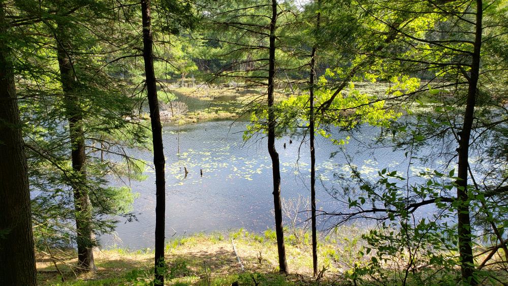 20 Best Hiking Trails in Columbus, Ohio (Kid & PetFriendly Trails)