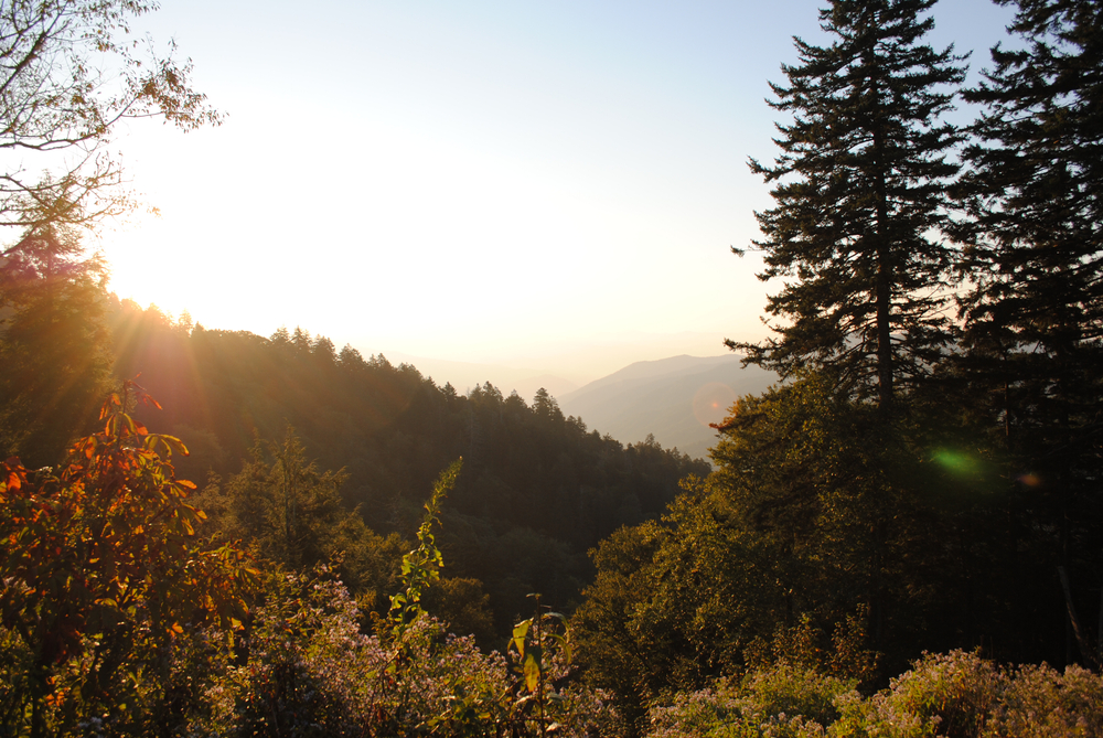 Best Time To Visit Tennessee (Exclusive Guide by a Local!)