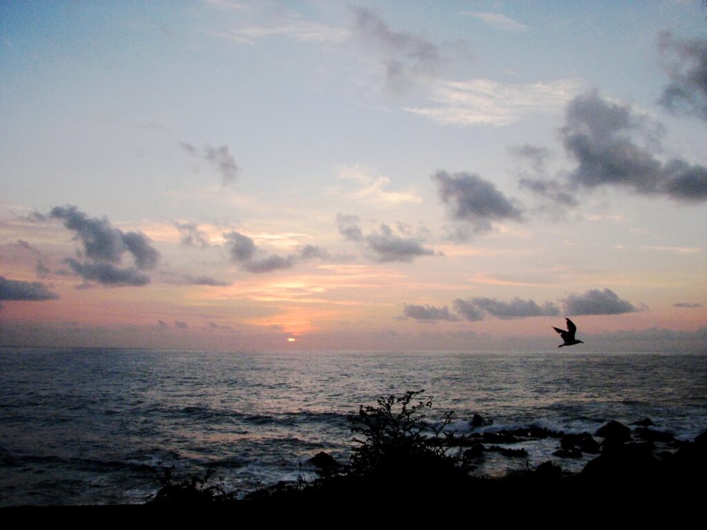 Why Are Some Beaches in Cabos Not Swimmable? (Dangers & Safe Areas!)