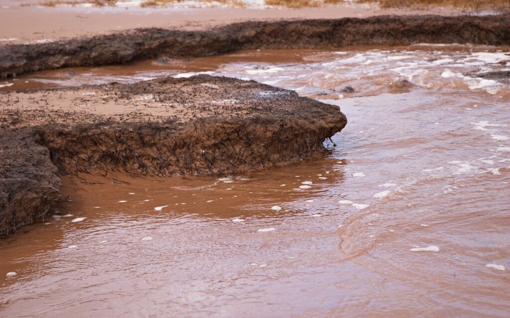 Why Are Some Beaches in Cabos Not Swimmable? (Dangers & Safe Areas!)