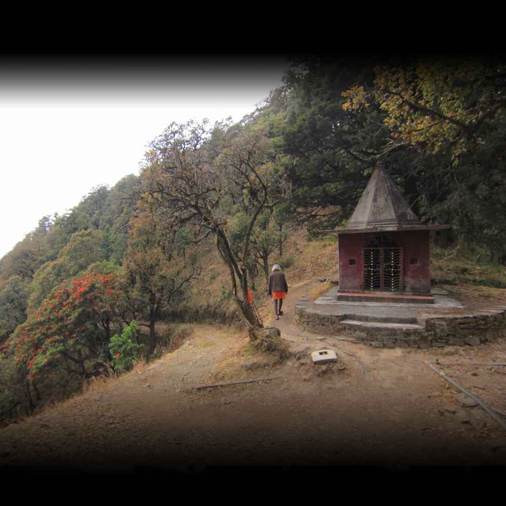 National Hermit Day - October 29, 2024