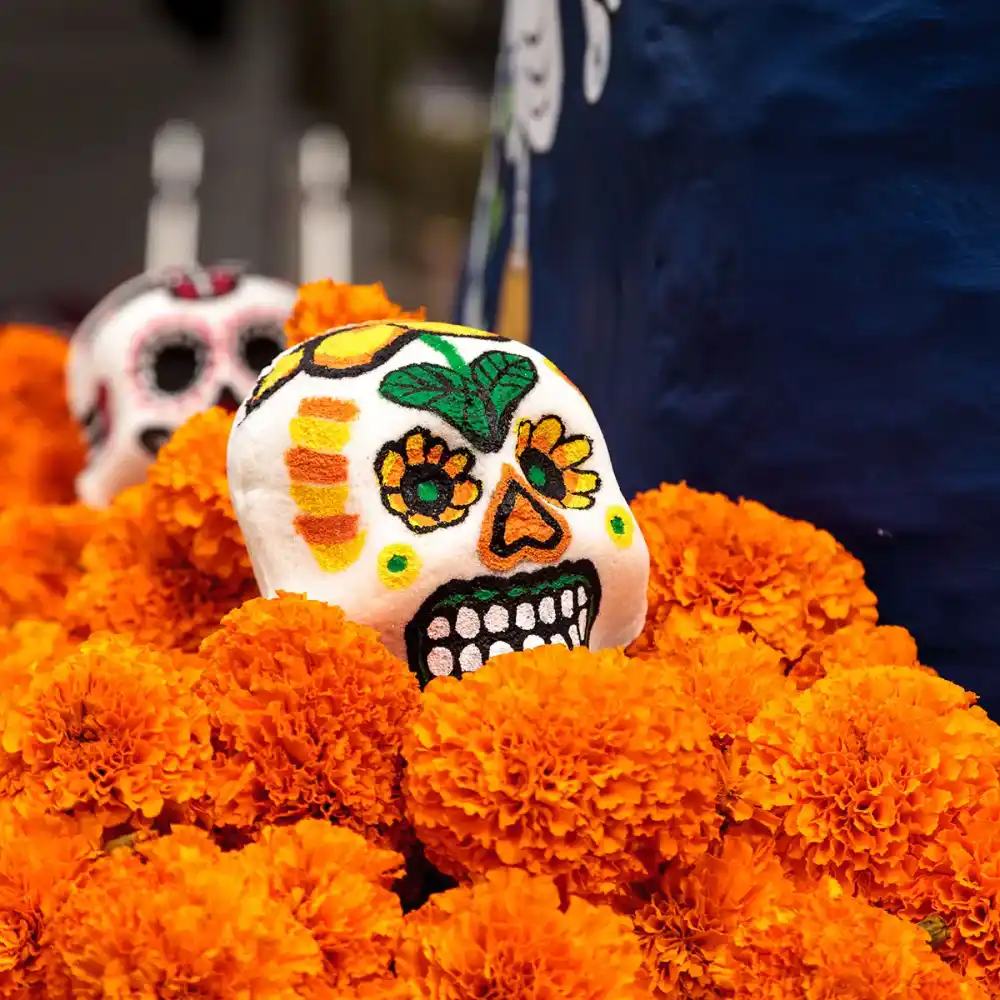 Day of the Dead - November 2, 2024