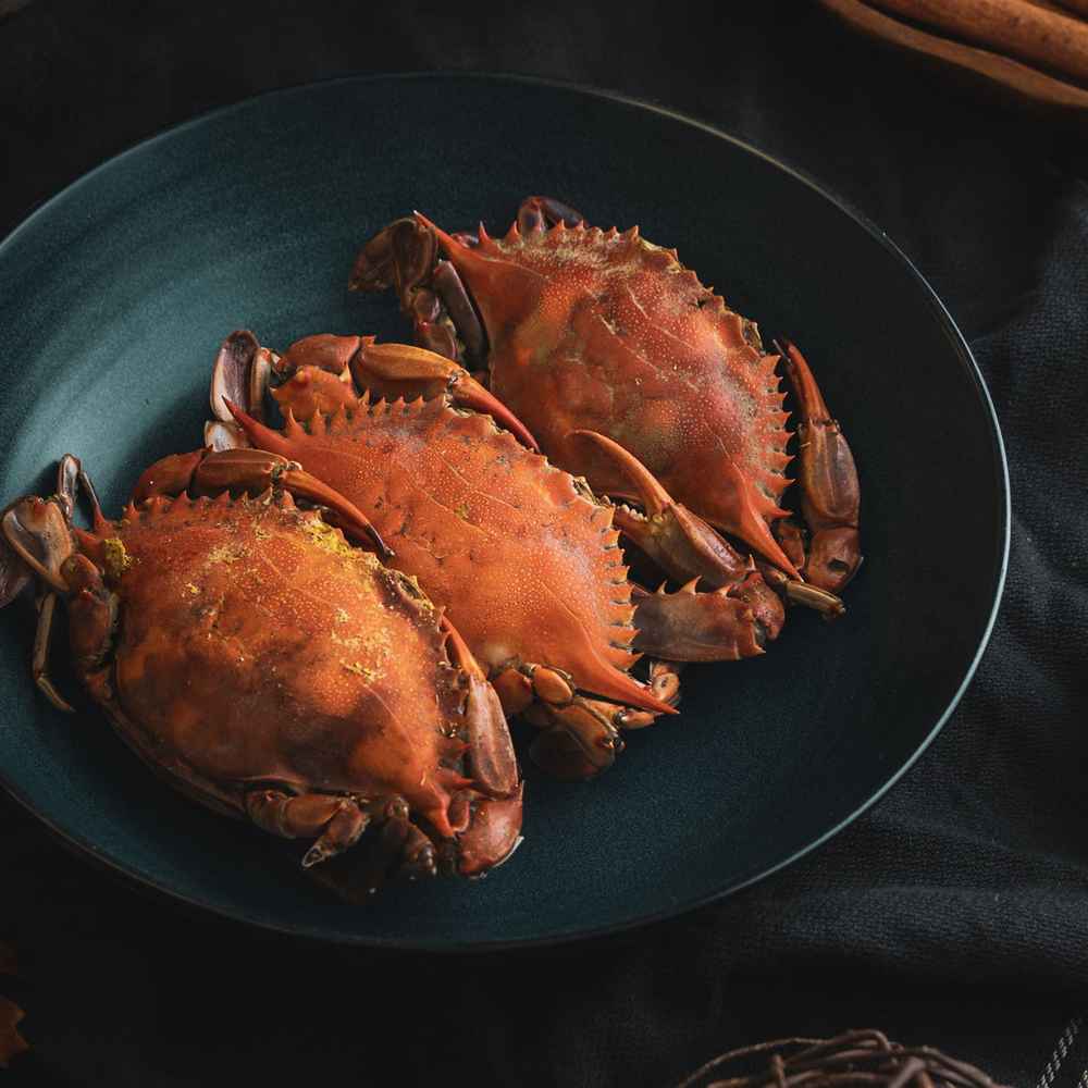 National Crab Meat Day 2024